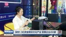 深圳小宋最新爆料新闻视频,最新新闻视频深度解析